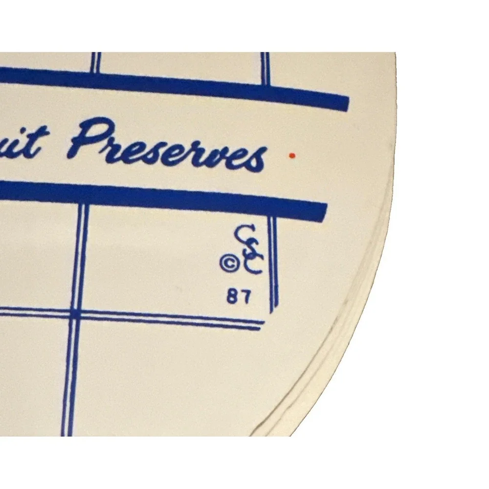 Vintage CSC Fruit Preserves Vinyl Foam Placemats Set of 4 Oval 1987